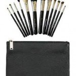 Zoe London 16pc silver brush set with bag
